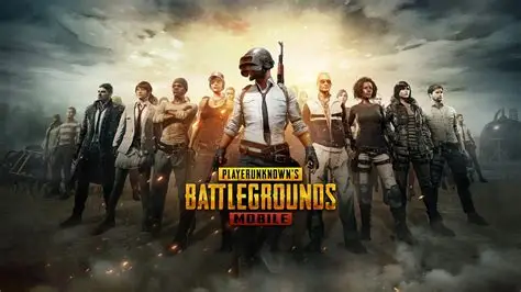 PUBG Dolphin